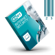 لایسنس 25 کاربره یک ساله ESET INTERNET SECURITY 13 اورجینال